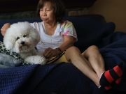 Comment les chiens nous sauvent quotidiennement de la solitude ?