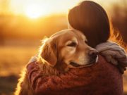 6 conseils pour prolonger la durée de vie de son chien votre chien est vraiment heureux avec vous