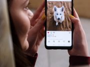 Tendances instagram : Les races de chiens qui captivent la génération Z génération Z et chien sur instagram