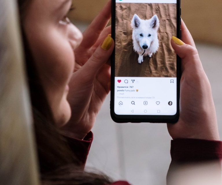 Tendances instagram : Les races de chiens qui captivent la génération Z