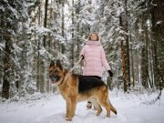 Les bienfaits étonnants de l’adoption d’un chien pour les enfants Une des races qui sont très photogéniques