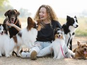 Les races de chien les plus calmes et câlins