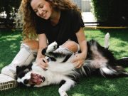 Les 7 petits plaisirs méconnus de votre chien Border Collie