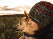 Les races de chien qui sont vraiment géniales avec leur maître races de chien géniaux avec leur maître