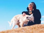 Les races de chien qui ont les plus d’empathie races de chien les plus empathiques