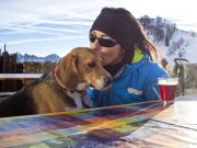 Les races de chien qui ont besoin de beaucoup d’attention Beagle