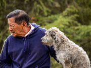 Les races de chien qui sont les plus loyales envers leur maître les plus loyales envers leur maître