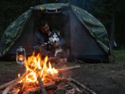 Les races de chiens qui sont les plus adaptées à la vie en camping chien camping
