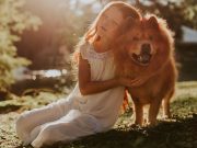 Les races de chien qui sont les plus adaptés aux personnes introverties chien et fille