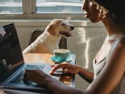 Les races de chien qui n’aiment pas du tout les changements de routine chien et changements de routine