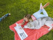 Les races de chien qui ont un caractère facile chiens à caractère facile