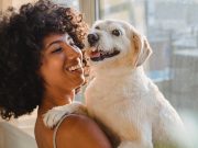 Les races de chien qui ont une connexion fusionnelle avec leur maître races de chien une forte connexion avec leur maître