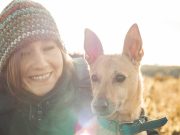 Les races de chien qui ont tendance à imiter leur maître races de chien qui ont tendance à imiter leur maître