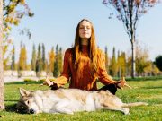 Les races de chien qui veulent participer à des séances de méditation avec leur maître races de chien séances de méditation avec leur maître