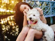 Les races de chien qui vous apporteront le plus de bonheur races de chien qui vous apporteront le plus de bonheur