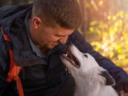 7 astuces pour renforcer le lien avec votre chien Astuces pour renforcer le lien entre vous et votre chien