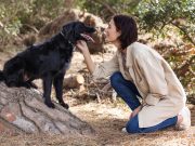 Les 8 races de chien qui créent des liens indestructibles avec leur maître Races de chiens ayant un lien indestructible avec leur maître