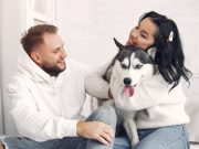 Les races de chien qui vous considèrent comme leur meilleur ami Races de chien qui vous considèrent comme leur meilleur ami