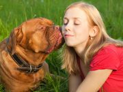 7 raisons derrière les léchouilles affectueuses de votre chien