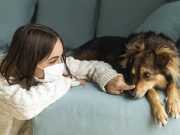 Pourquoi mon chien dégage une mauvaise odeur ?