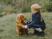6 bienfaits de grandir avec un chien chien comme thérapie