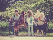 Les chiens et leur instinct de protection : comment veillent-ils sur leur famille ? Chien et sa famille