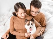 Nos conseils pour empêcher votre chien de fuguer empêcher votre chien de fuguer