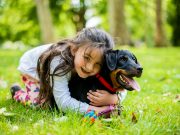 Les bienfaits de la thérapie assistée par un chien pour les enfants