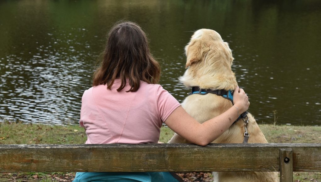 les meilleurs chiens d’alerte