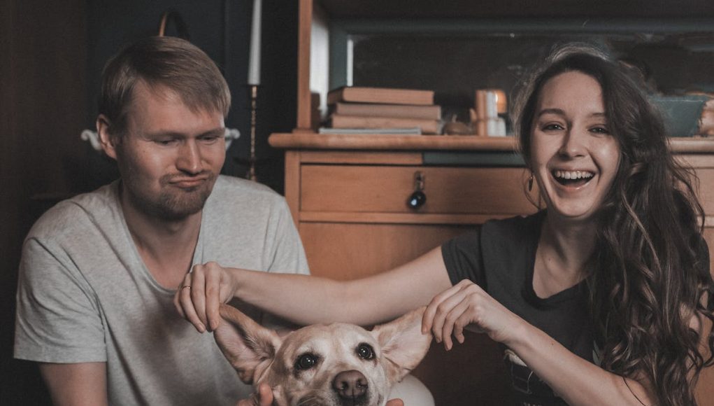 chien refléter nos émotions et attitudes