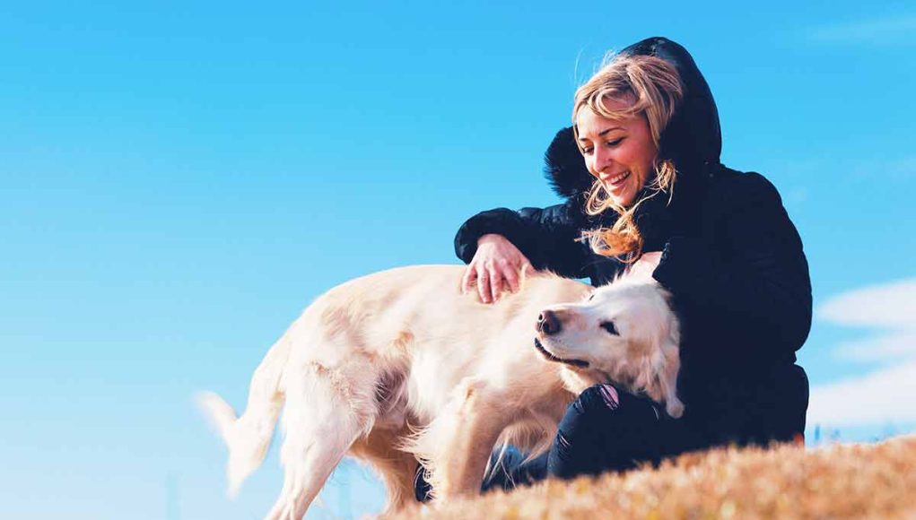 races de chien les plus empathiques