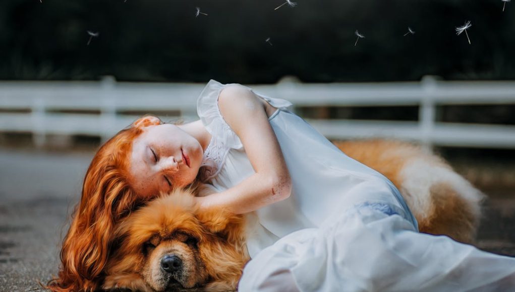 Où faire dormir son chien