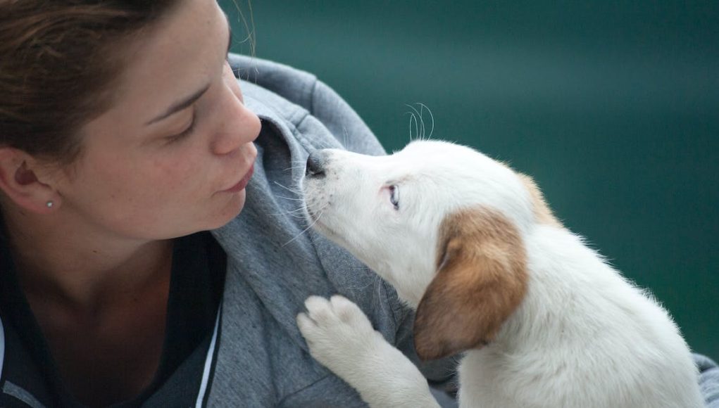 chien et maître