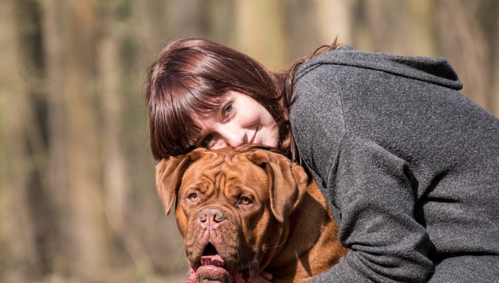 Astuces pour avoir un chien obéissant