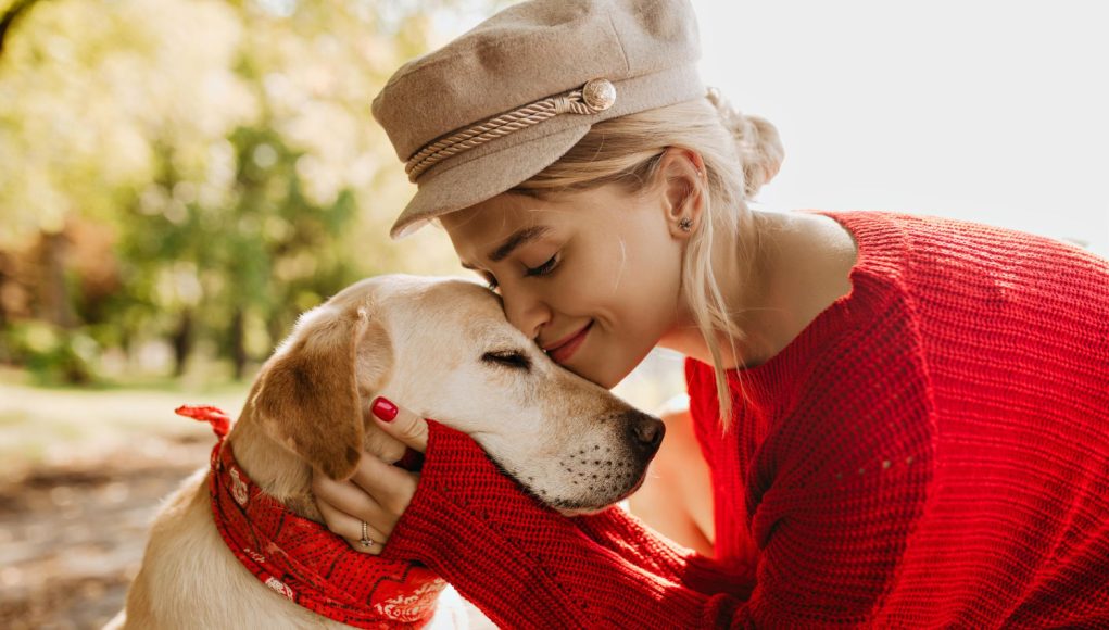 Signes qui montrent que votre chien ressent votre amour