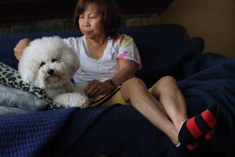 Comment les chiens nous sauvent quotidiennement de la solitude ?
