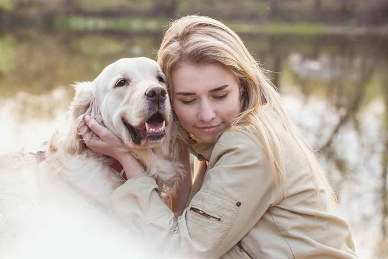 Ces races de chien sont les plus câlines et affectueuses