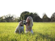 5 races de chien de compagnie idéales pour les enfants chien de compagnie et enfant