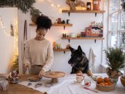 Biscuits à la citrouille : recette gourmande de fête pour chiens biscuits à la citrouille