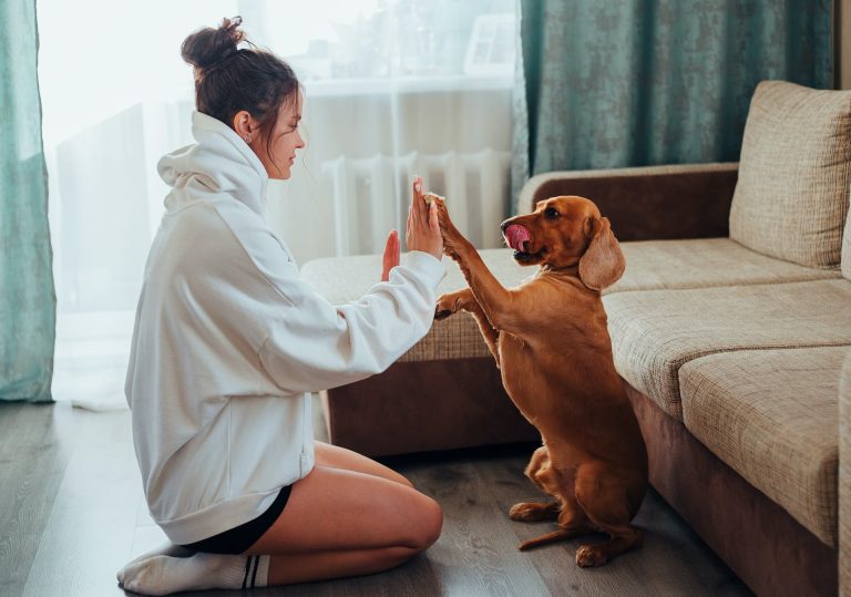 Les races de chien qui sauront le mieux vous aider à traverser les épreuves de la vie