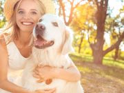 Les races de chien qui sont les plus affectueuses avec le plus leur maitre races de chien qui sont les plus affectueuses avec le plus leur maitre