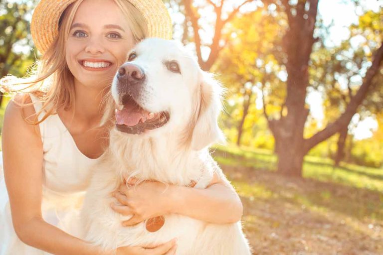 Les races de chien qui sont les plus affectueuses avec le plus leur maitre