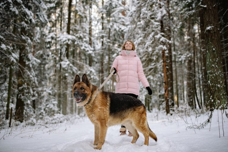 Les bienfaits étonnants de l’adoption d’un chien pour les enfants