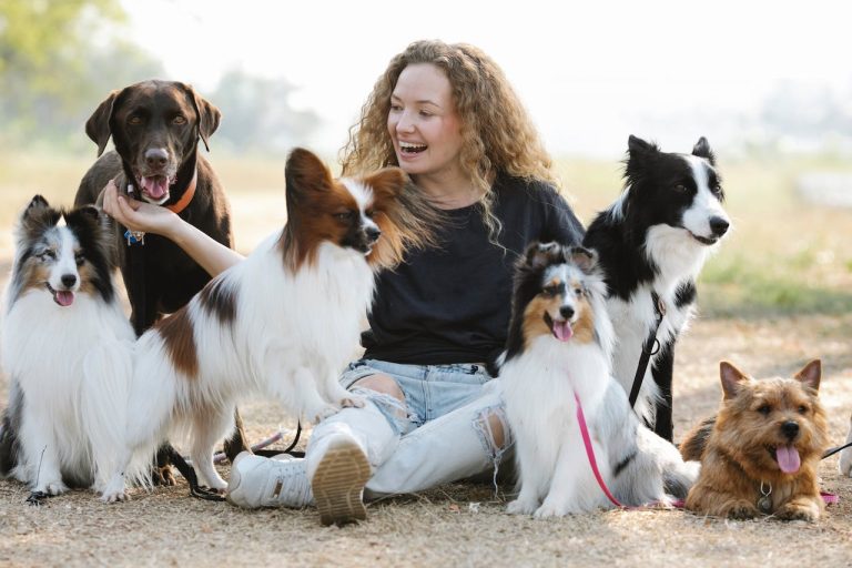 Les races de chien les plus calmes et câlins