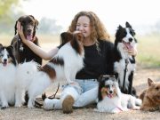 Les races de chiens qui sont les plus fidèles à leur maître Beaucoup de chiens