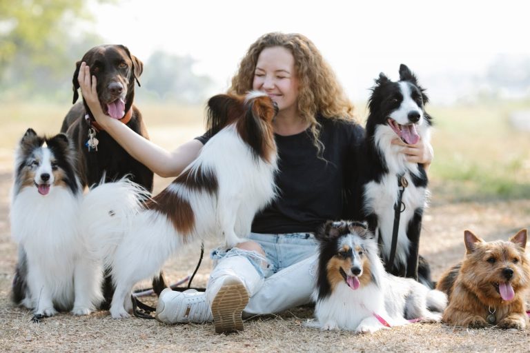 Les races de chiens qui sont les plus fidèles à leur maître