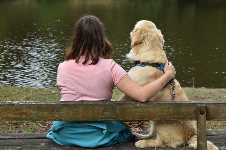 Comment savoir si votre chien vous considère comme son complice ?