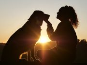 Les races de chien qui sont les plus gentilles et adorables races de chien qui sont les plus gentilles et adorables