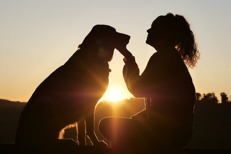 Les races de chien qui sont les plus gentilles et adorables