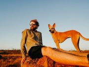 Les plus belles races de chiens d’Afrique plus belles races de chiens d’Afrique